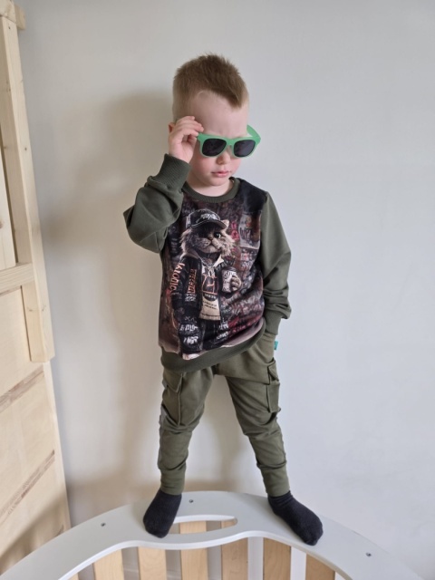 Bluza kot gangsta